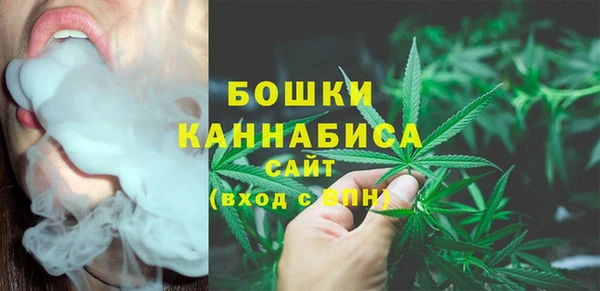 крисы Богданович